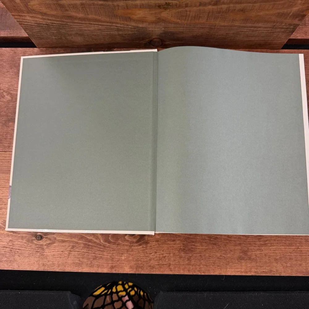 Remember When The Twentieth Century n Pictures Dan Epstein Hardcover Pop Culture